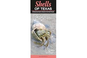 Shells of Texas: A Beachcomber’s Guide to the Gulf Coast (Common and Notable Species)