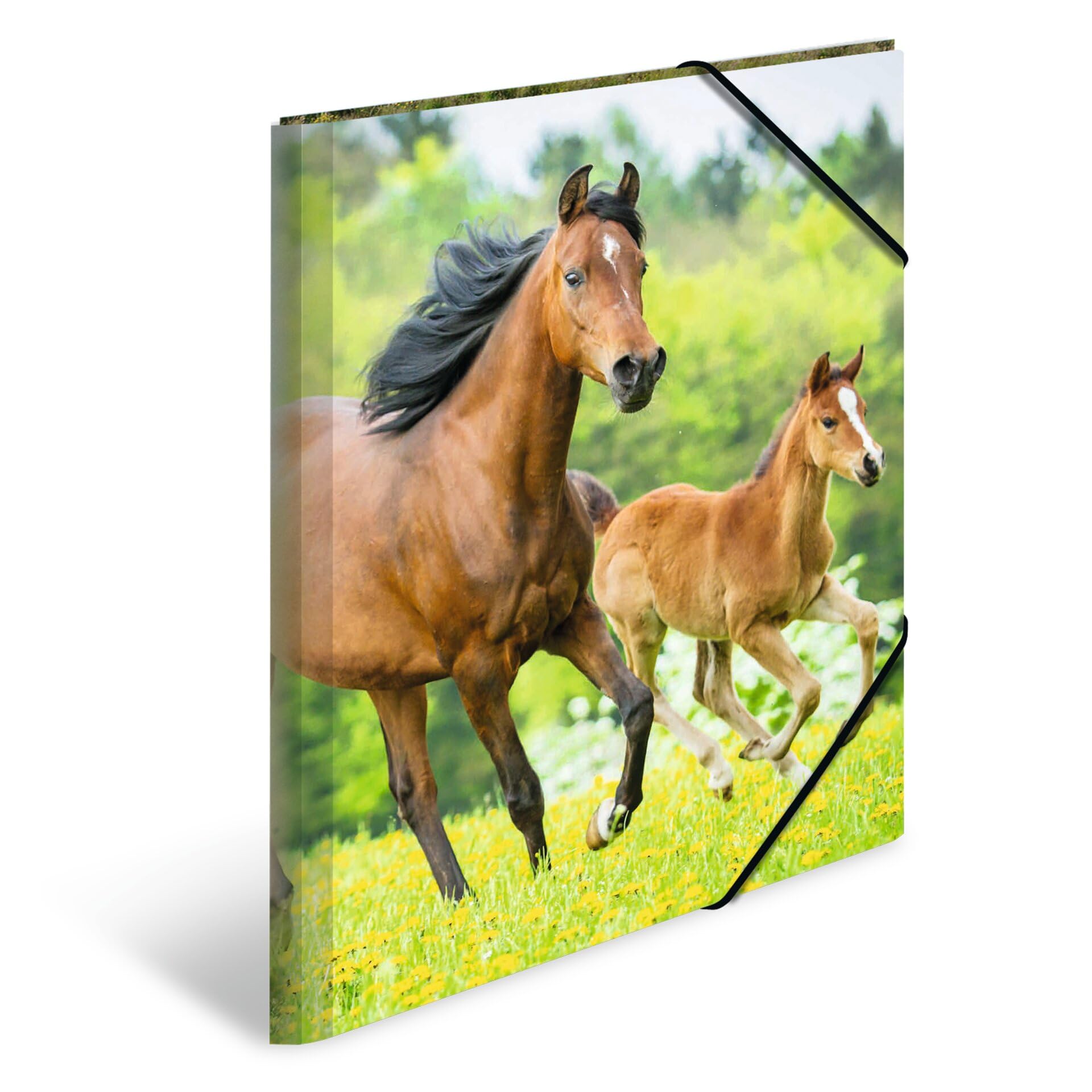 HERMA Elastic Folder Animals with Horses Motif, A3, Sturdy Plastic, with Inner Print, 1 Span Folder