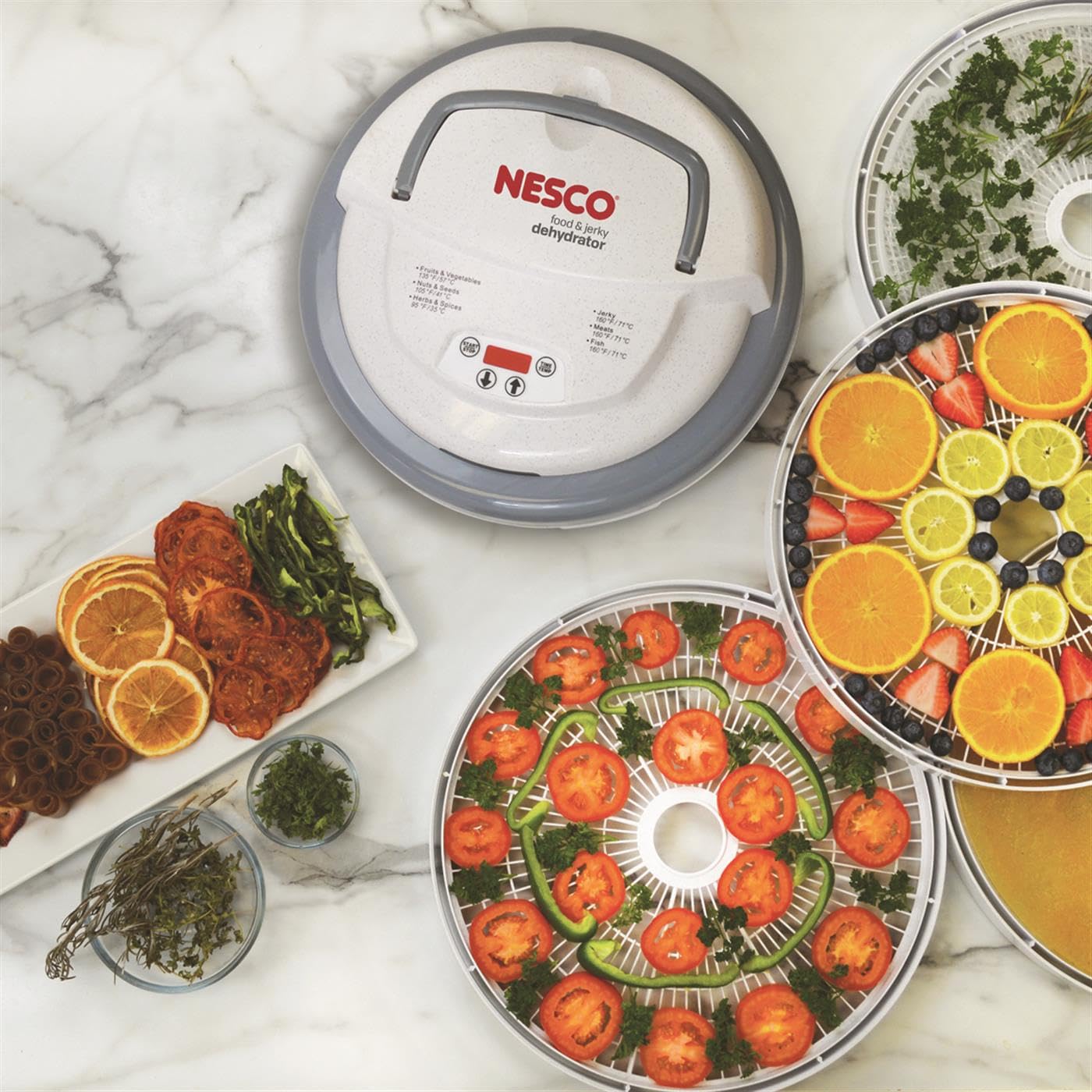 Nesco FD-79 Snackmaster Pro Digital Food Dehydrator for Snacks, Fruit, Beef Jerky, Meat, Vegetables & Herbs, Gray, 4 Trays, 1 Count (Pack of 1),Grey