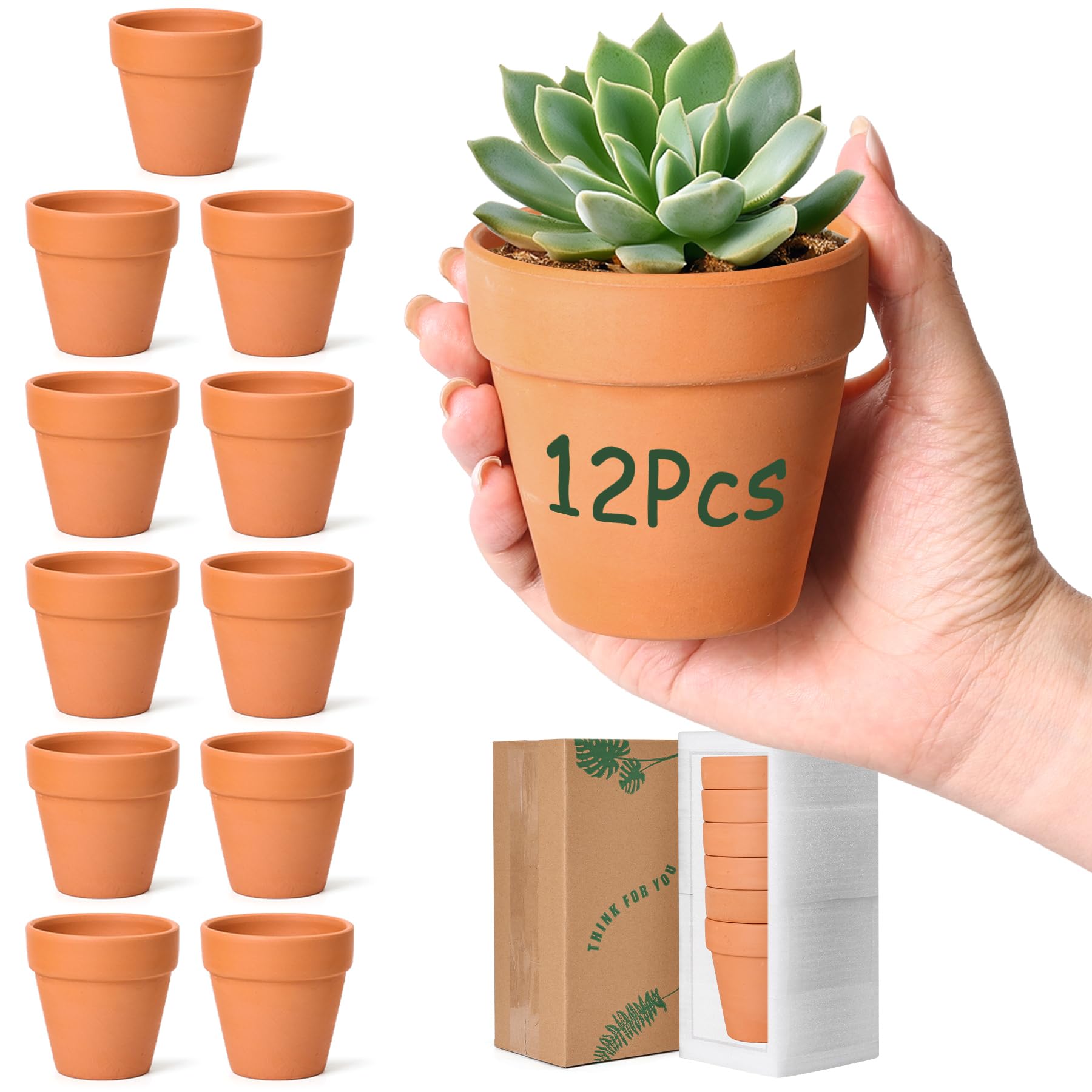 T4U 8CM Small Clay Pots for Crafts 12 Pcs, Mini Terracotta Plant Pots with Drainage Holes, Small Plant Pots for Succulent Cactus Plants, DIY Terra Cotta Pots, Idea Gifts for Party Decor