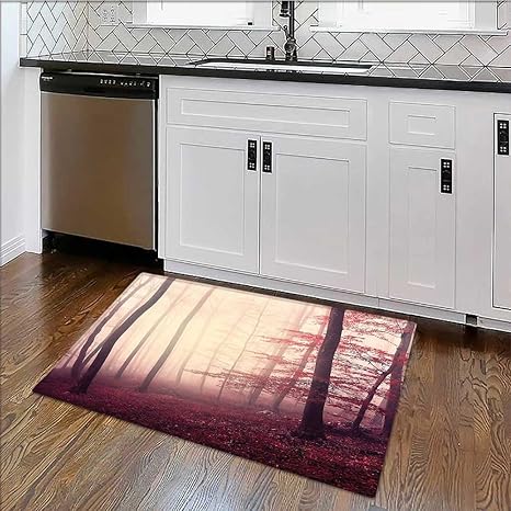 Amazon Com Rug Easy To Clean Durable Marsala Color Foggy Dreamy