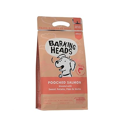 personalized dog feeding station