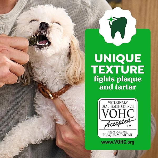 GREENIES DENTAL TREATS FOR DOGS, VETERINARIAN-RECOMMENDED AGING CARE ADULT NATURAL DENTAL DOG TREATS, TEENIE SIZE, 27 OZ. PACK, 96 COUNT