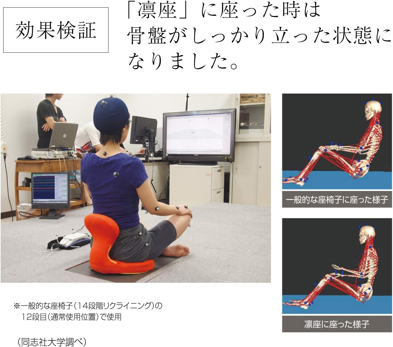 バイオリニスト 予感 スコア 骨盤 座 椅子 凛 座 K Kacchan Jp