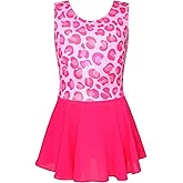 Girls Ballet Leotard with Skirt Sparkle Sleeveless Dance Dress Ballerina Dancewear Toddler Gymnastics Outfit