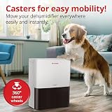 Inventor 12L/Day Dehumidifier Fresh Ultra-Quiet 24h Timer R290 Eco view 6