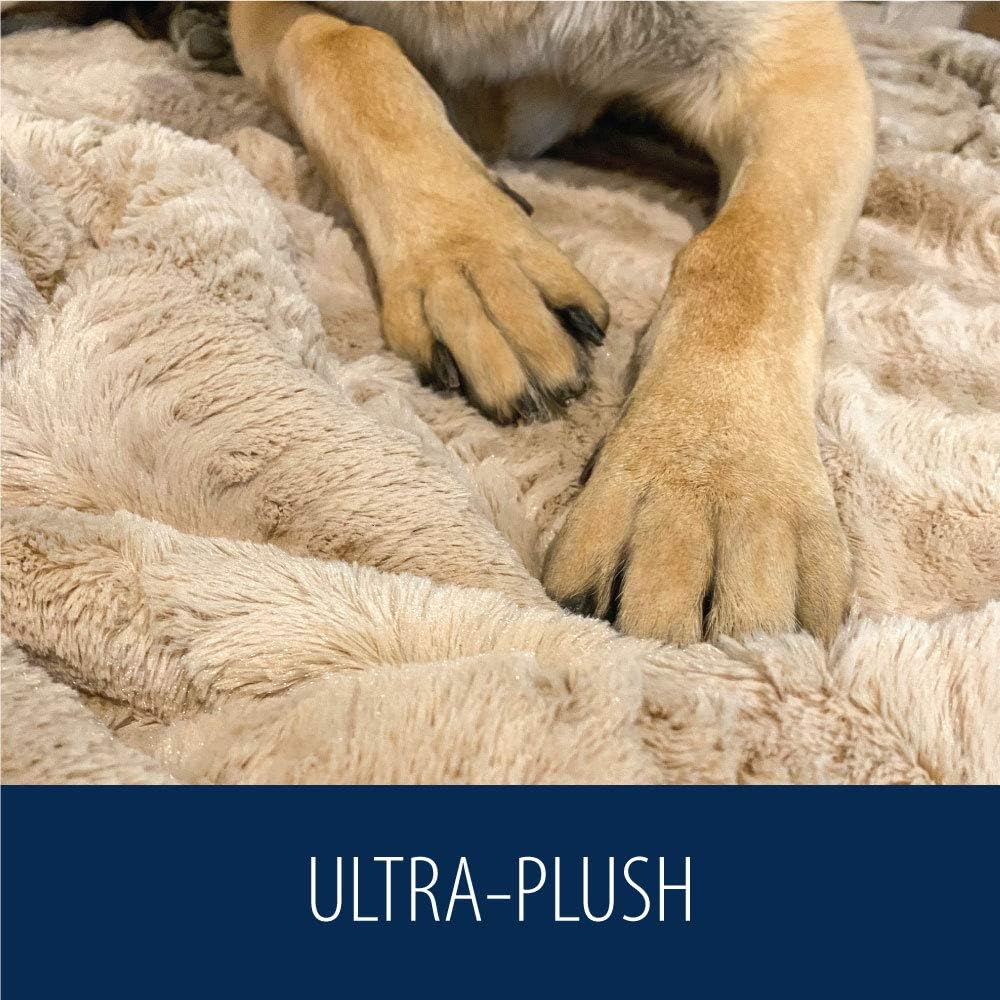 MIGHTY MONKEY Premium Pet Blanket, 47x40 Inch, Machine Washable, Soft Cozy Reversible Sherpa Throw Blankets for Pets, Plush Material, Non Shedding Kitty Cat, Kitten Throws, Large Size, Soft Beige: Home & Kitchen