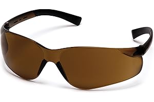 Pyramex Ztek Safety Glasses