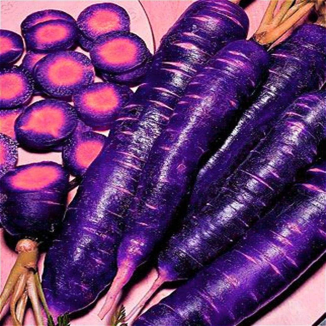 Tomasa Seedhouse- Organic Carrot Seeds 'Rainbow Mix' Carrot Mix Seeds Vegetable Seeds Hardy Perennial for Garden Balcony/Terrace