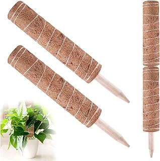 Pflanzstab Kokos,2 Stück Blumenstab Kokosstab Verlängerbar Rankstab Natürlicher Kokosfaser Stützpfahl Für Haus Garten Kletterpflanze Erweiterung Der Pflanzenstütze