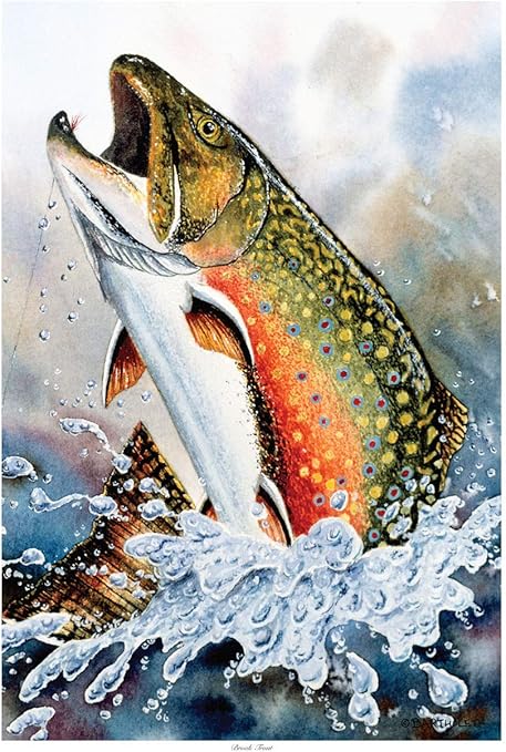 Amazon Com Brook Trout Giclee Art Print Poster From Watercolor By Artist Dave Bartholet 12 X 18 Posters Prints