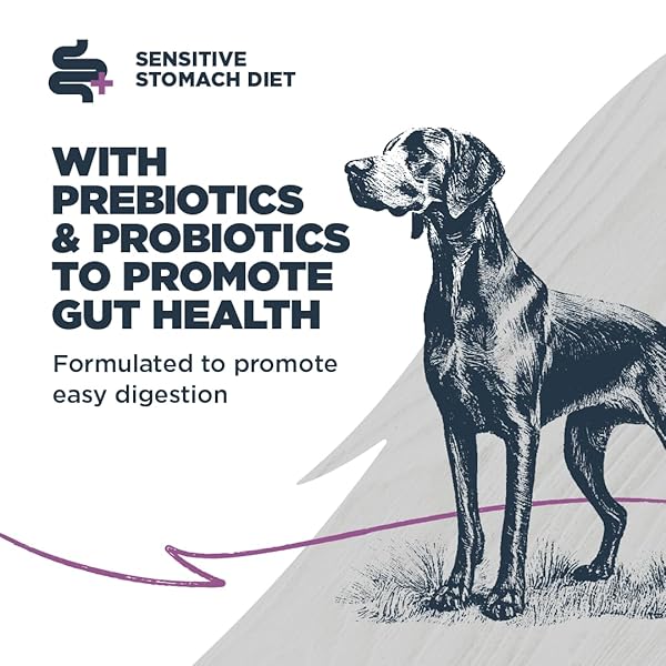 BLACKWOOD SENSITIVE SKIN & STOMACH DRY DOG FOOD, SALMON MEAL & BROWN RICE WITH ANCIENT GRAINS, 4.5 POUND BAG WITH PREBIOTICS & PROBIOTICS TO PROMOTE GUT HEALTH