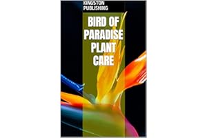 Bird of Paradise Plant Care (Planting Ornamentals)