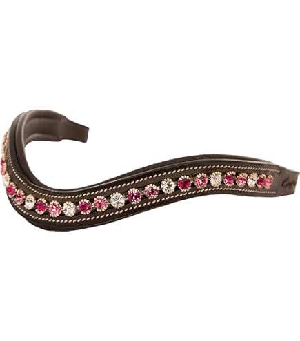 Bride Filet Pour Cheval Avec Têtières Rembourrées (bleu/multicolore) – Taille Cheval