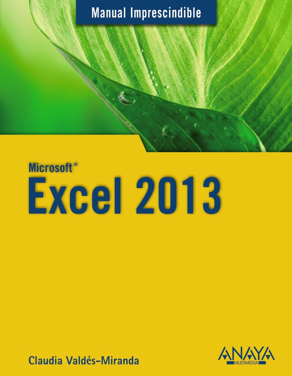 Excel 2013 (Spanish Edition) (Spanish) Paperback – June 30, 2014