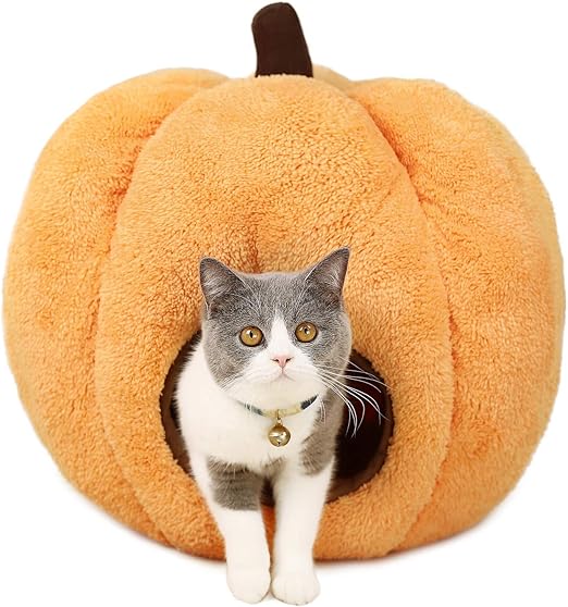 halloween cat bed