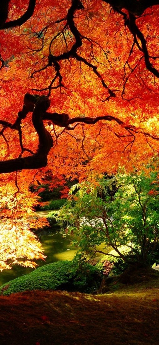 PeelitStickit, Beautiful Nature Wall Murals, ID-3142, vinyl