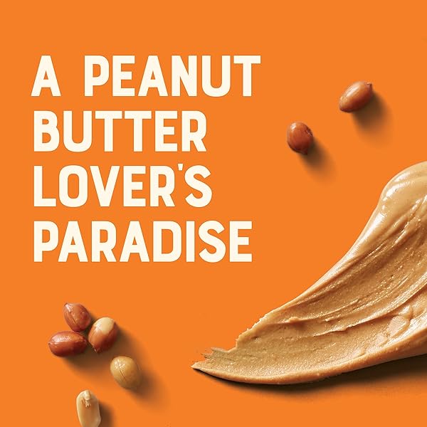 CLIF NUT BUTTER BAR – PEANUT BUTTER – FILLED ENERGY BARS – NON-GMO – USDA ORGANIC – PLANT-BASED – LOW GLYCEMIC – 1.76 OZ. (5 PACK)