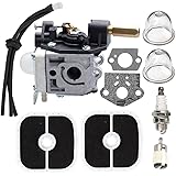 SRM-266 Carburetor with Filters Maintenance Kit for ECHO SRM-266S SRM-266T SRM-266U PAS-266 PPT-266 PPT-266H PE-266 PE-266S SHC-266 HCA-266 Trimmer Weedeater RB-K112