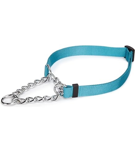 Amazon.com : Guardian Gear Adjustable Martingale Choke-Style