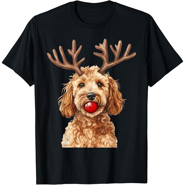 Amazon.com: Apricot Toy Poodle Dog Face T-Shirt : Clothing, Shoes