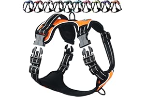 VIVAGLORY Dog Harness Easewalk No Pull Dog Harness with Handle Front Clip & Back Clip for Training Walking Lifting, No Pull A