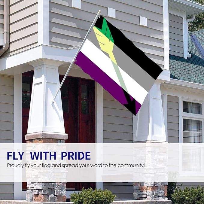 Amazon Com Duanduan Aromantic Aro Ace Asexual Arrow Pride Flag Themed Welcome Home House Garden Yard Decor 3 X 5 Ft Jumbo Large Huge Flag Party Outdoor Outside Decorations Ornament Picks
