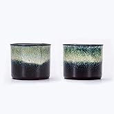 RISTEASO Espresso Cups Set of 2, Ceramic Espresso Cups, Expresso Shots Cups, 2.5oz Tea Cups, Demitasse Cups (2, magic outside)