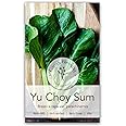 Gaea's Blessing Seeds - Yu Choy Sum Seeds - Jung Green - Heirloom Non-GMO Seeds with Easy to Follow Planting Instructions - 93% Germination Rate