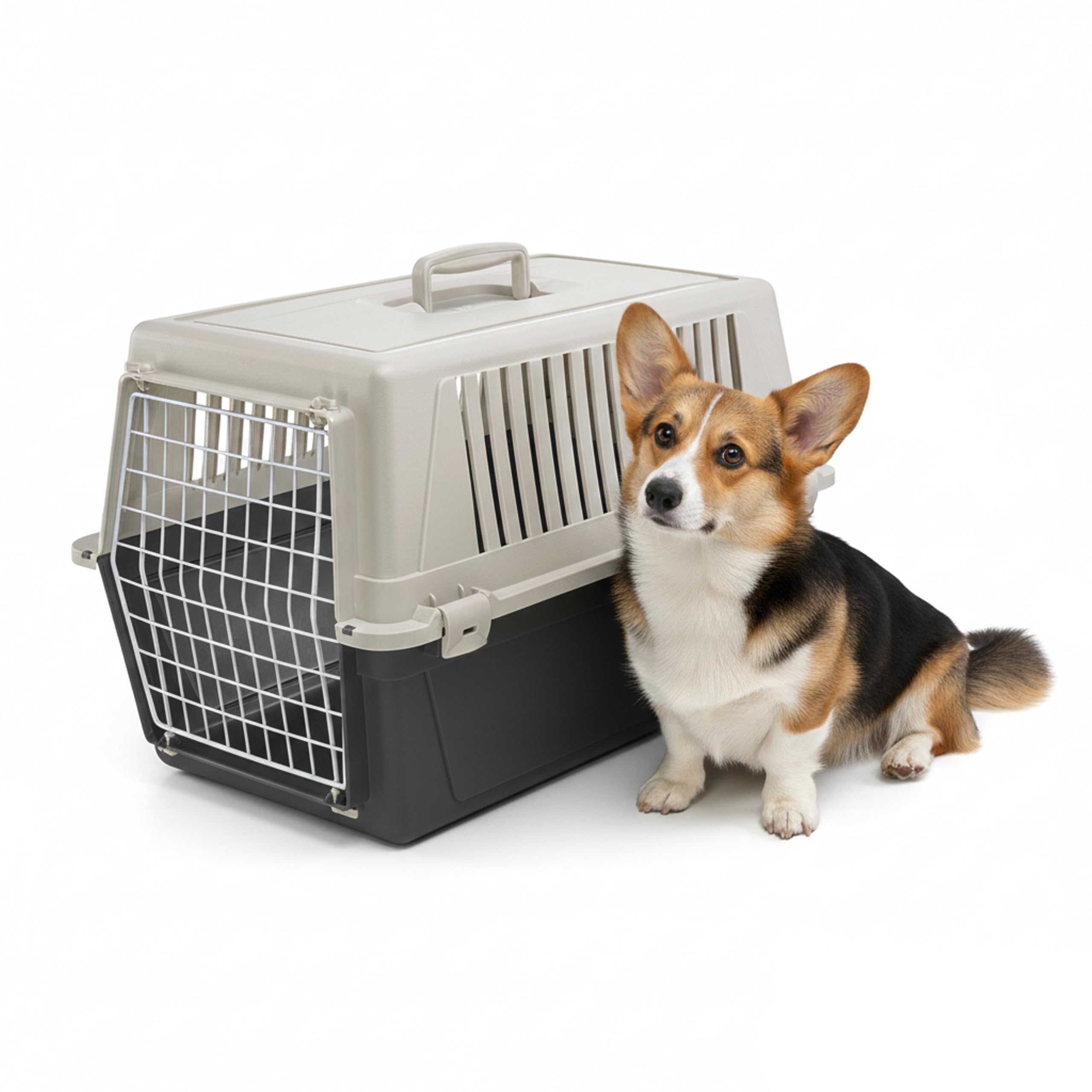 Ferplast Dog Carrier, Secure, Practical, Easy to Clean, Durable Medium Dog Travel Box Cage up to 15 Kg. 60 x 40 x h.38 cm. Black