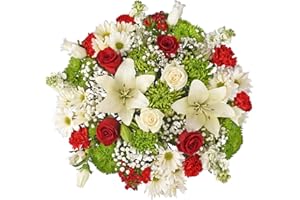 Floral Compass by Nature's Flowers Bouquet of Flowers for Delivery - Prime Eligible - Holiday Spotlight Flower Bouquet, 30+ Fresh Cut Flowers, No Vase