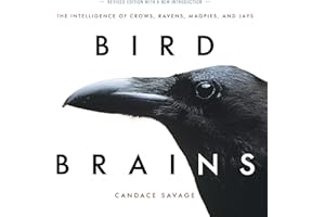 Bird Brains: The Intelligence of Crows, Ravens, Magpies, and Jays