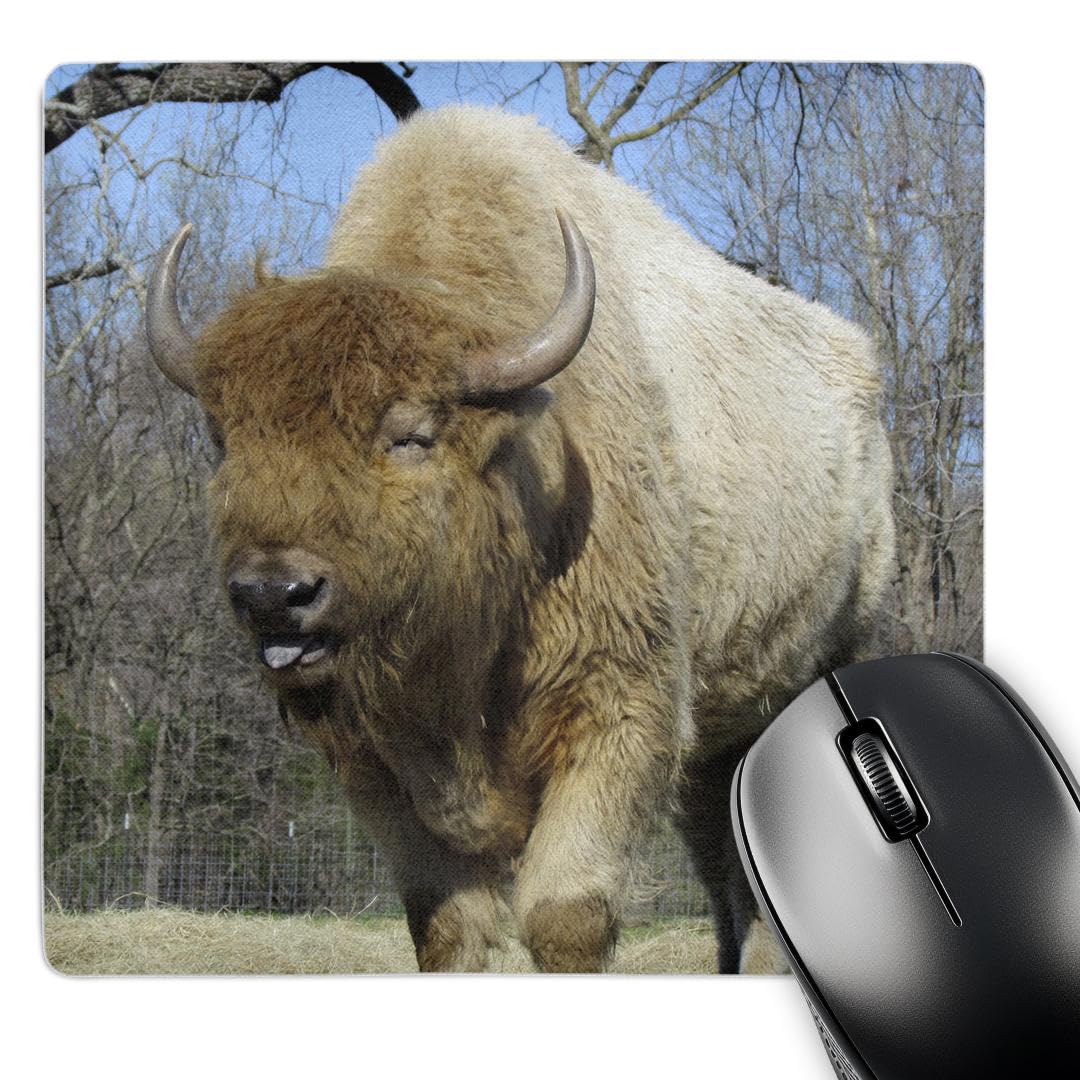 3dRose mp_50410_1 8 x 8 American Bison - Buffalo Mouse Pad