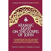 Aramaic Light on the Gospel of John (Aramaic New Testament Series)