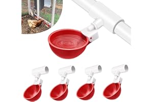 XXXX Chicken XXXX Livestock Goat