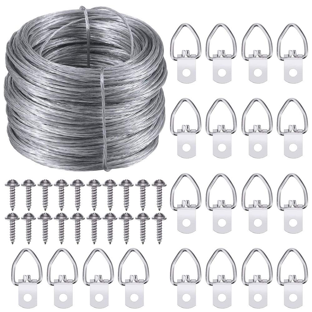 NACTECH 30M Stainless Steel Picture Hanging Wire 20 Pcs D-Ring Picture Hangers with Screws Heavy Duty Picture Frame Hanging Wire Kit Stainless Steel Wire Spool for Mirror Light Crafts Supports