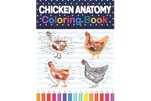 Chicken Anatomy Coloring Book: Animals Physiology Self-Quiz Color Workbook for Studying and Relaxation | Anatomy Magnificent 