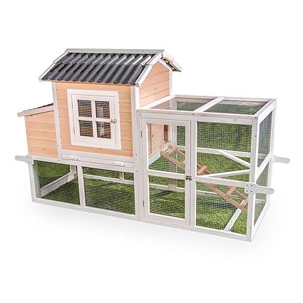 Amazoncom Ware Premium Big Dutch Barn Garden Outdoor