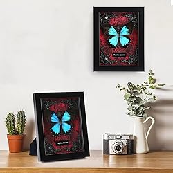 Real Butterfly Framed Butterfly Taxidermy