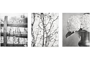 LISA RUSSO FINE ART - Black and White Nature Photography Set of 3 Photo Prints - Minimalist Country Rustic Pictures for Foyer, Bathroom, Bedroom Home Decor (SMALL 5x7" Prints)