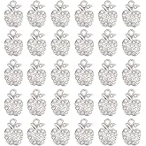 SUNNYCLUE 1 Box 30Pcs Silver Apples Charm Bulk Fruit Charm Metal Alloy Rhinestone Shiny Birthstone Cute Sweet Food Charm for Jewelry Making Charms Christmas Eve DIY Earring Keychain Necklace Crafting