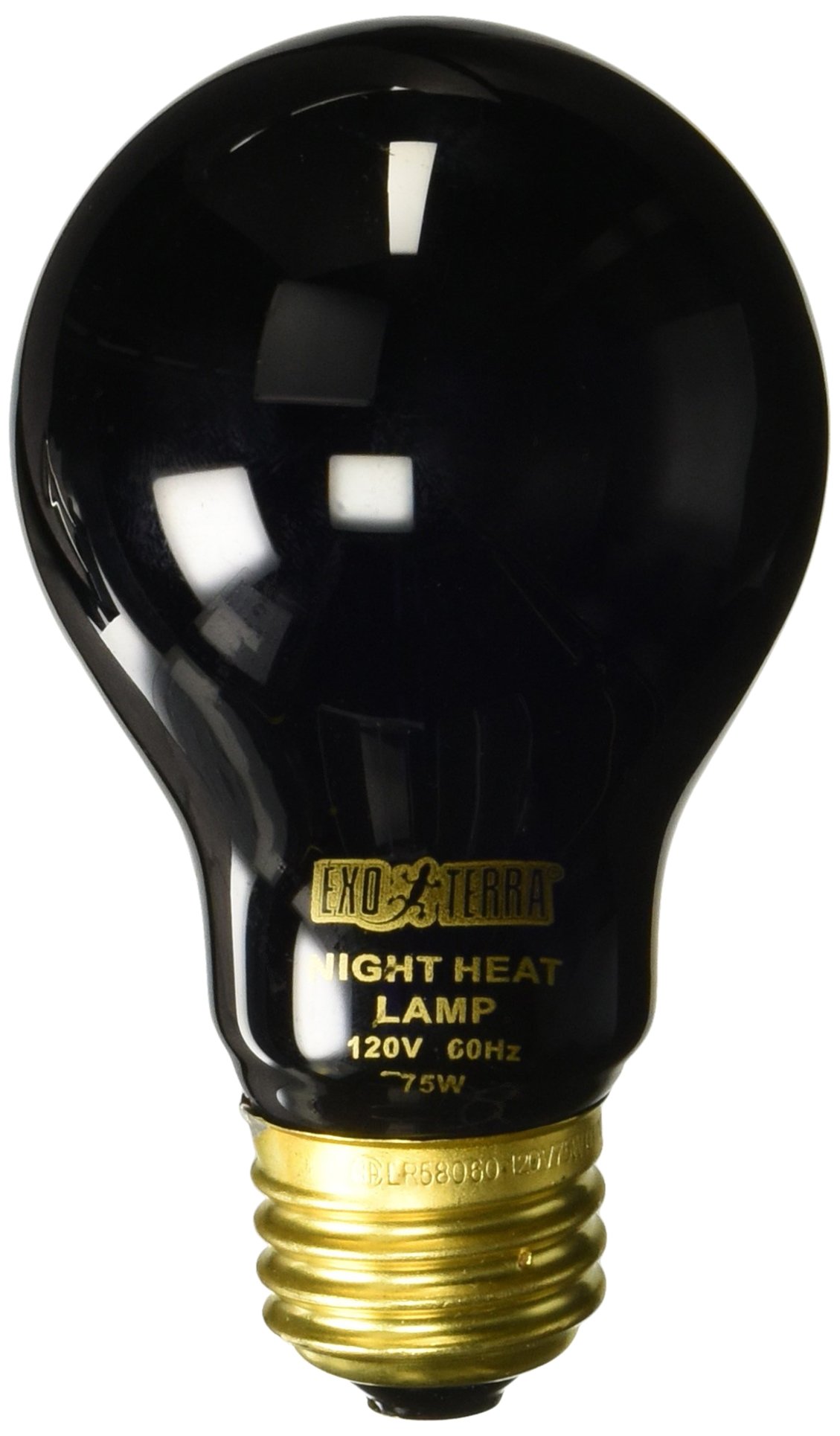 Exo Terra Night Heat Lamp 75w