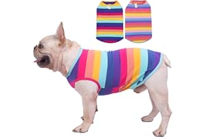 LEVIBASIC Dog Shirts Cotton Striped T-Shirts, Breathable Basic Vest for Puppy and Cat, Super Soft Stretchable Doggy Tee Tank Top Sleeveless, Fashion & Cute Color for Boys and Girls (M, Rainbow)
