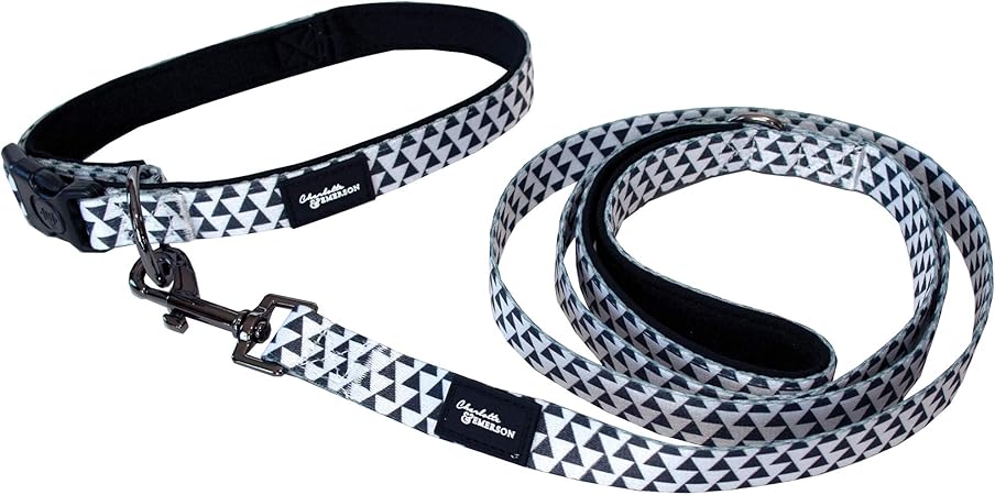 premium dog collars and leashes
