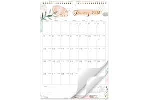 FETEULO Calendar 2025 - Wall Calendar 2025, 18 Months Calendar 2025, 12 x 17 In, Jan. 2025 - Jun. 2026, Twin-Wire Binding, Hanging Hook, Unruled Blocks, Julian Dates, Thick Paper