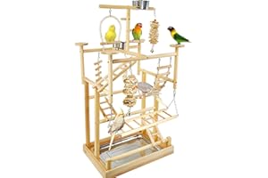 LIMIO Bird Playground - Natural Wood Parrot Playstand with Perches, Bird Play Gym & Accessories, Removable Tray & 4 Stainless Steel Cups