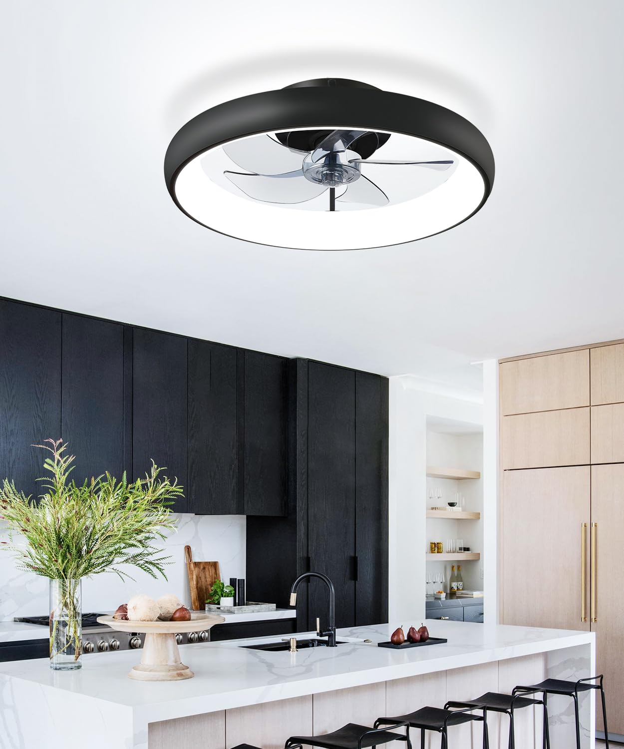 Ceiling Fans with Lights and Remote, 20