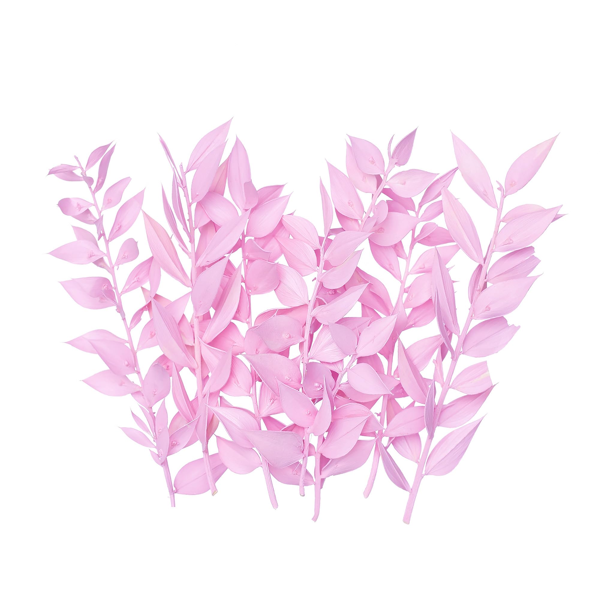The Baked Studio - Original Dried Flower Ruscus Set For Cake & Cupcake Decorating & Others Crafts (Candy Pink)