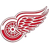 Desert Cactus Detroit Red Wings Team NHL National Hockey League Sticker Vinyl Decal Laptop Water Bottle Car Scrapbook (Individual A)