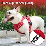 PoyPet No Pull Dog Harness Reflective Soft Padded Vest S Red Trim view 3